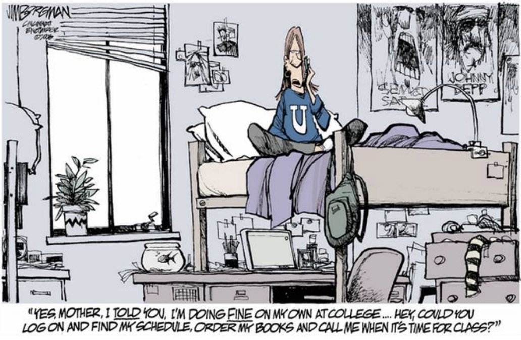 Cartoon: Student im chaotischen Wohnheimzimmer sitzt auf Hochbett und telefoniert, Laptop, Poster, Rucksack.